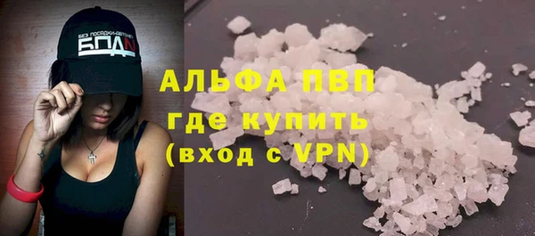 крисы Алзамай