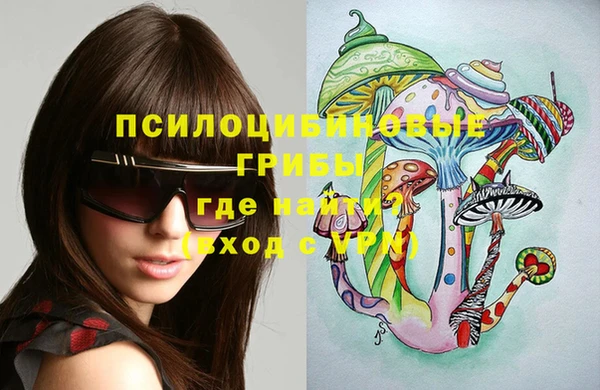 крисы Алзамай