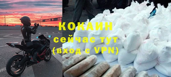 крисы Алзамай