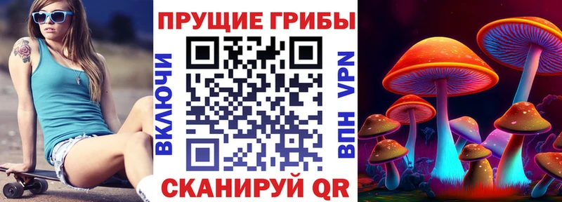 Псилоцибиновые грибы Psilocybe  Камешково 